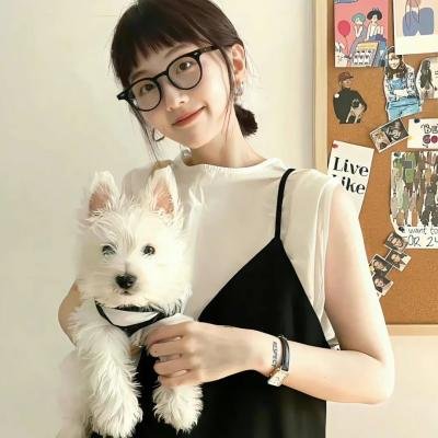 神犬出击